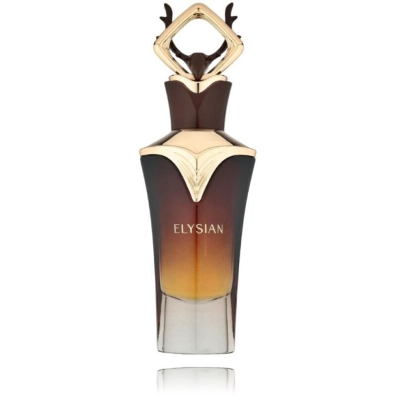 French Avenue Elysian EDP kvepalai vyrams